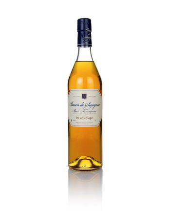 Baron de Sigognac 10 jaar oud