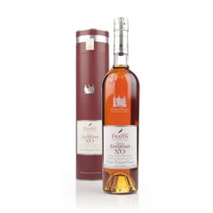 Frapin Chateau de Fontpinot XO XO Cognac