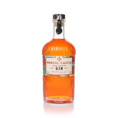 Hensol Castle Blood Orange Zest Flavoured Gin